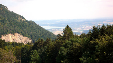 Ausblick auf den Neuenburgersee