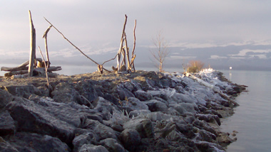 Frost am Neuenburgersee