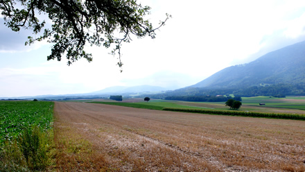 Auf dem Weg zum Neuenburgersee