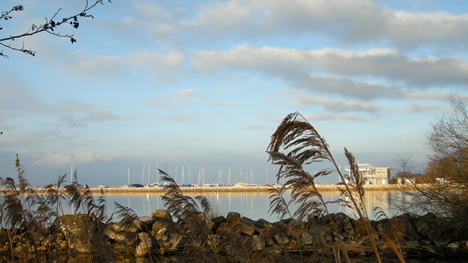 Hafen Cheyres im Winter