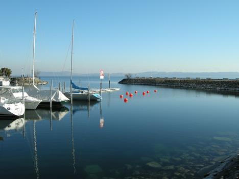 Neuenburg Hafen 2